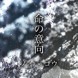 china中国老女人hd
