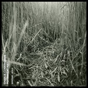 china中国老女人hd
